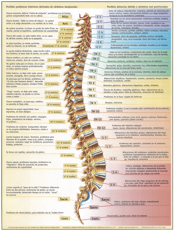 Suave terapia vertebral por Dorn