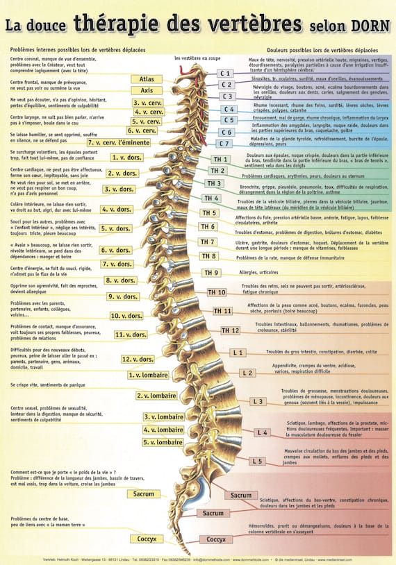 Suave terapia vertebral por Dorn
