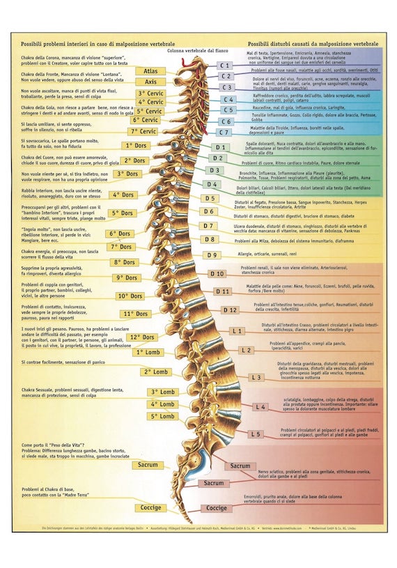 TERAPIA DELLE VERTEBRE DELICATA